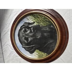 Limited Edition Black Labrador Retriever Collector Plate by Kaiser Porcelain